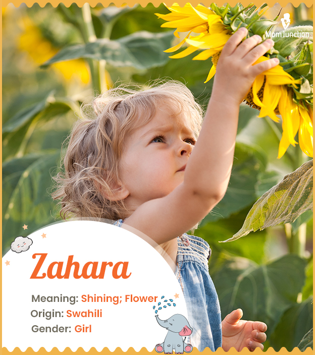 Zahara meaning Shini