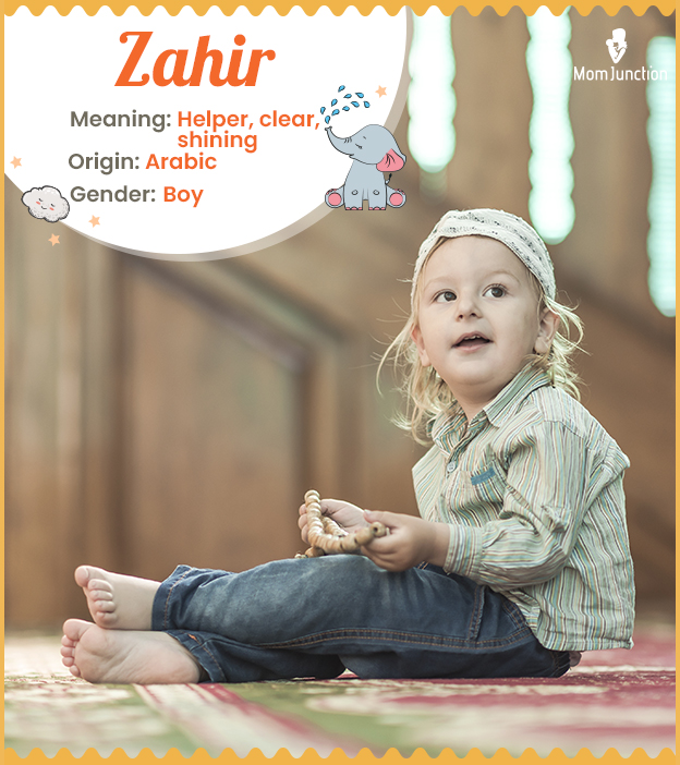 Zahir, the helpful s