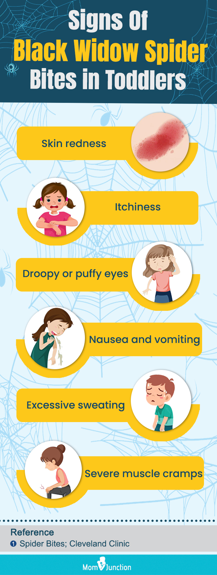 Spider bites - When to worry, Symptoms & First Aid