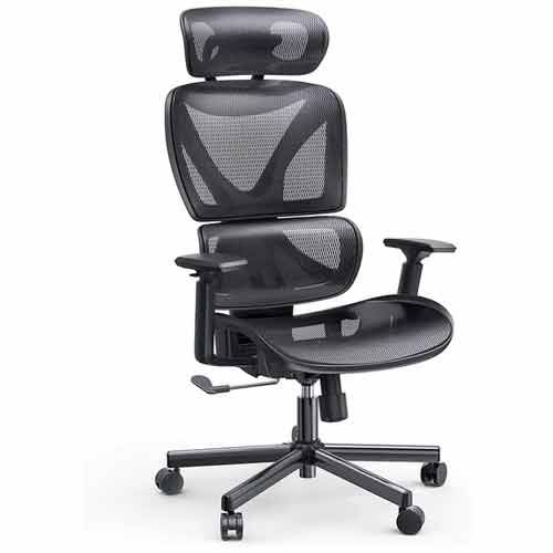 SIHOO Ergonomic Chair with Adjustable Lumbar Support, Wide Thick Cushion  and Flip-up Armrests, Big and Tall Office Chair for 330lbs. 