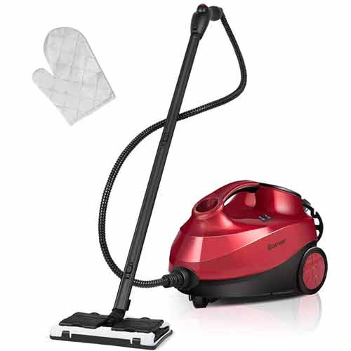 https://www.momjunction.com/wp-content/uploads/2023/04/Costway-2000W-Multipurpose-Steam-Cleaner.jpg