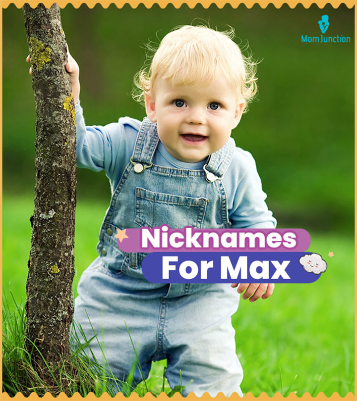 Nicknames For Max