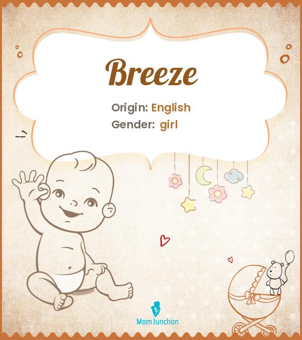 breeze-name-meaning-origin-history-and-popularity