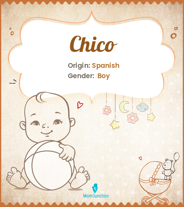 Chico Name Meaning Origin History And Popularity