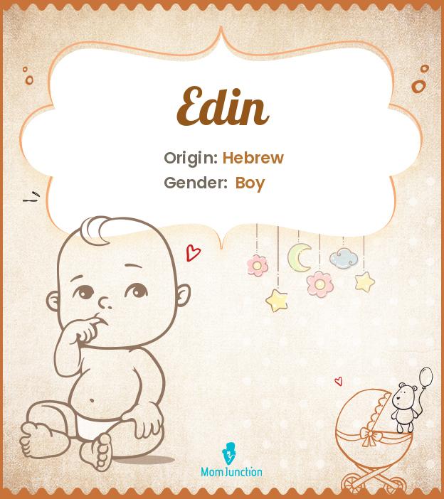 edin-name-meaning-origin-history-and-popularity