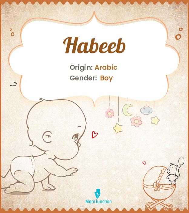 Habeeb Name Meaning Origin History And Popularity