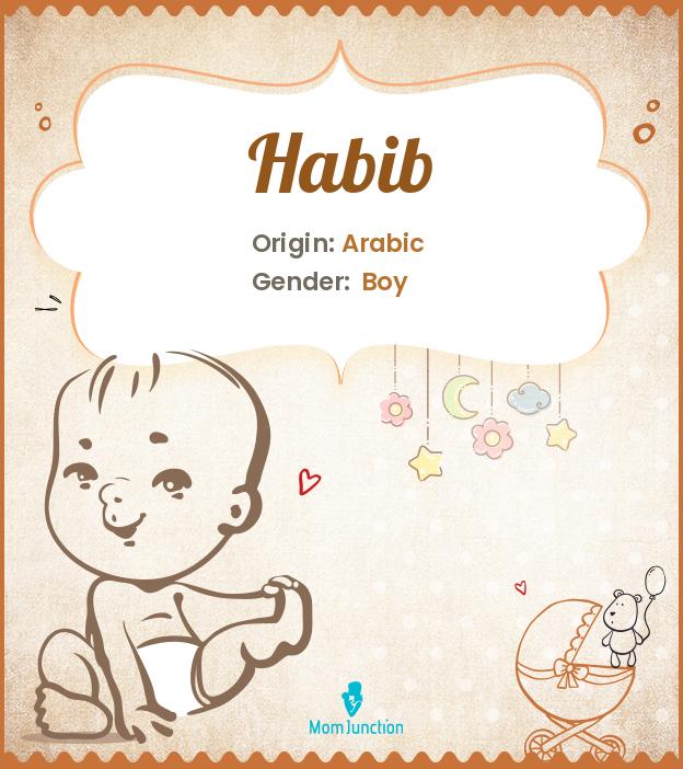 habib-name-meaning-origin-history-and-popularity