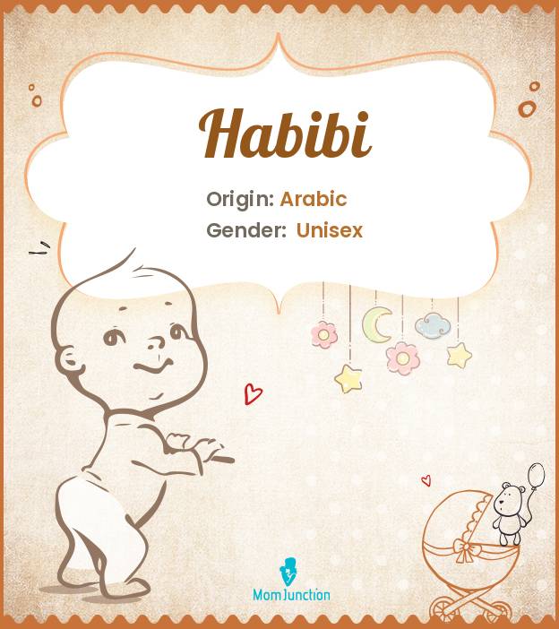 Habibi Name Meaning, Origin, History, And Popularity | MomJunction
