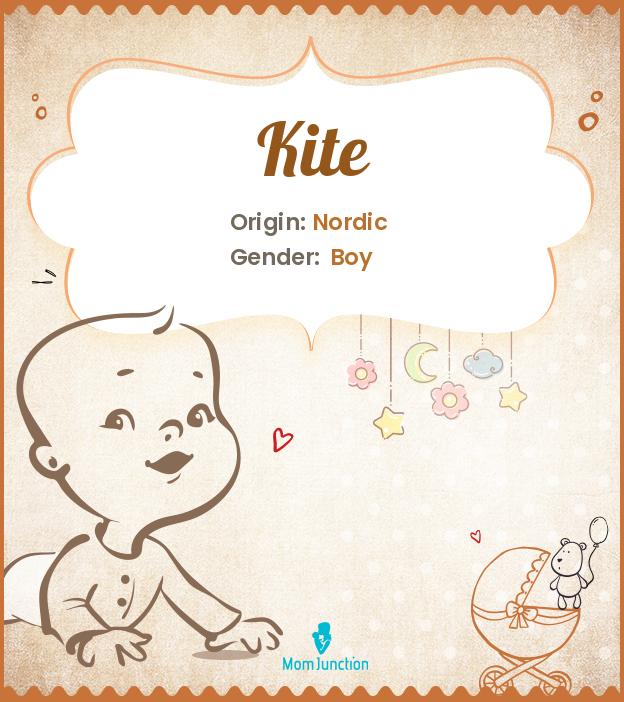 kite-name-meaning-origin-history-and-popularity