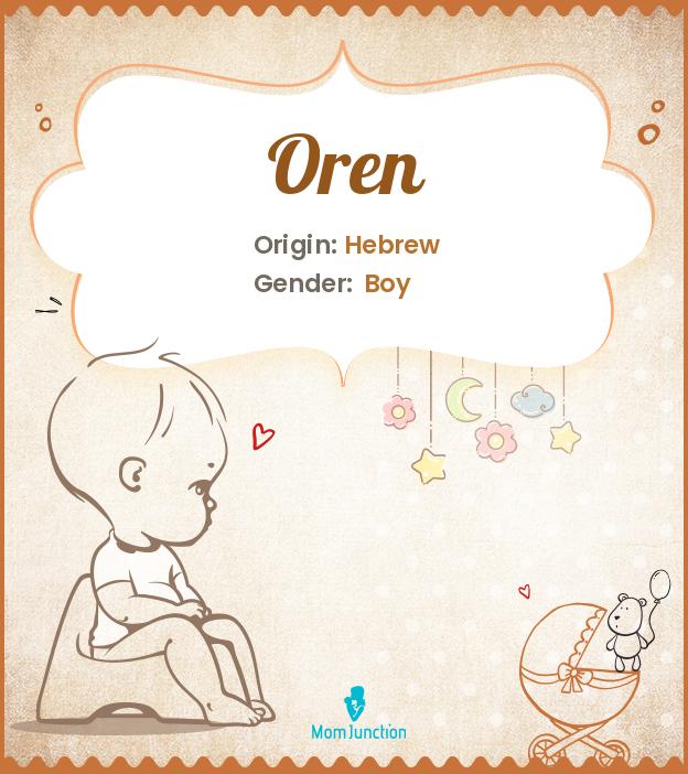 oren-name-meaning-origin-history-and-popularity