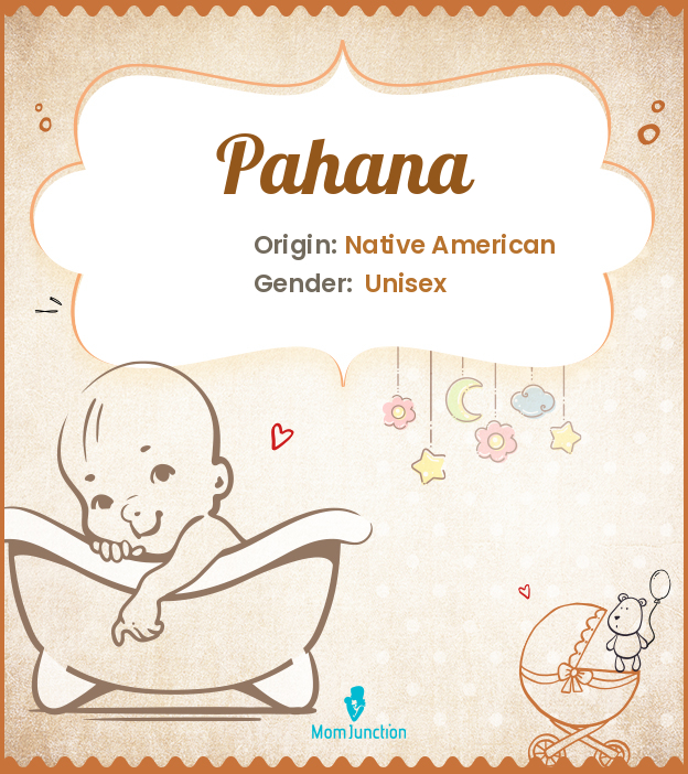 Top Baby Girl Names That Start With P