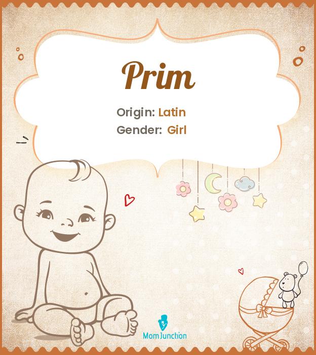 Prim Name Meaning, Origin, History, And Popularity