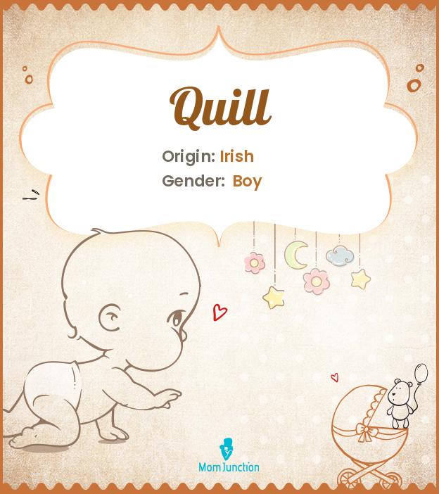 quill-name-meaning-origin-history-and-popularity