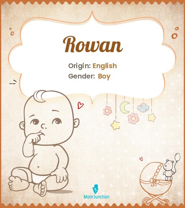 Rowan Name Meaning, Origin, History, And Popularity