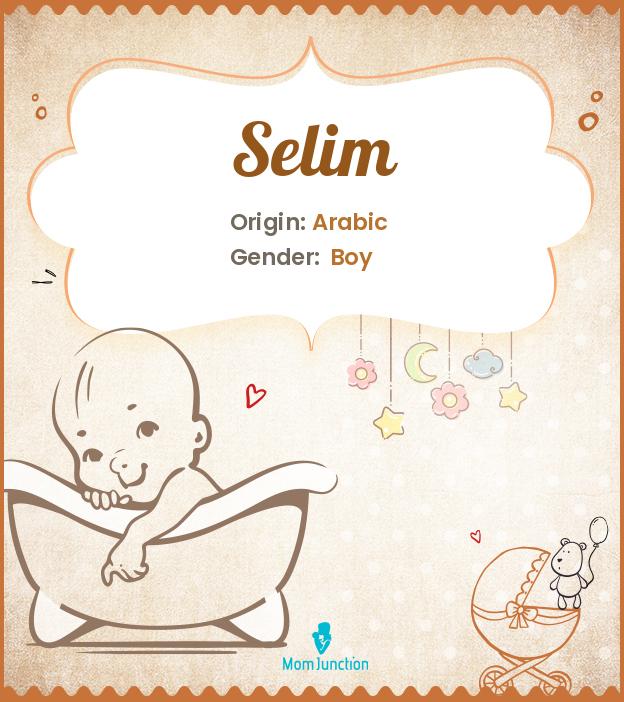 Selim Name Meaning, Origin, History, And Popularity