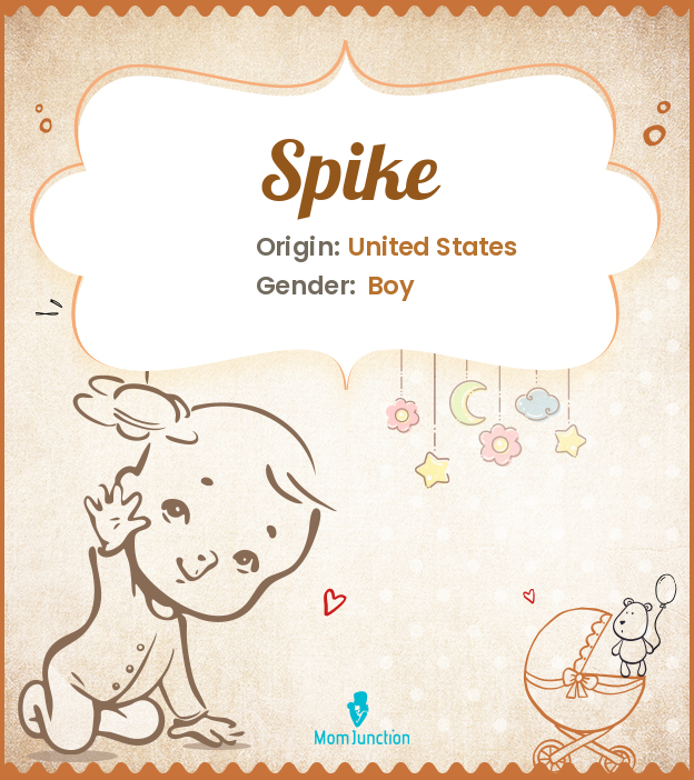 Spike Name Meaning Origin 