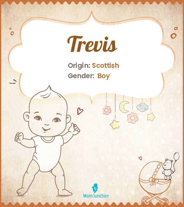 Trevis