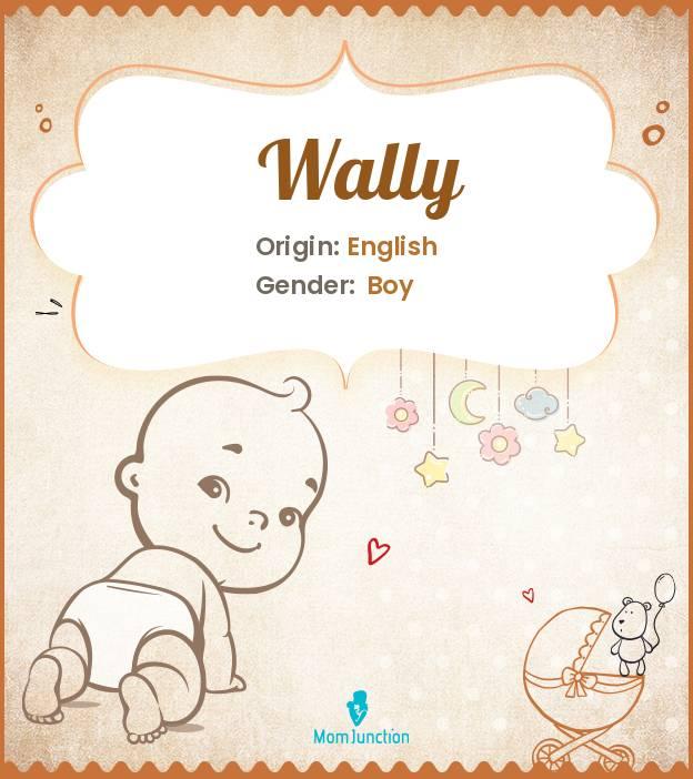 Explore Wally Meaning Origin Popularity