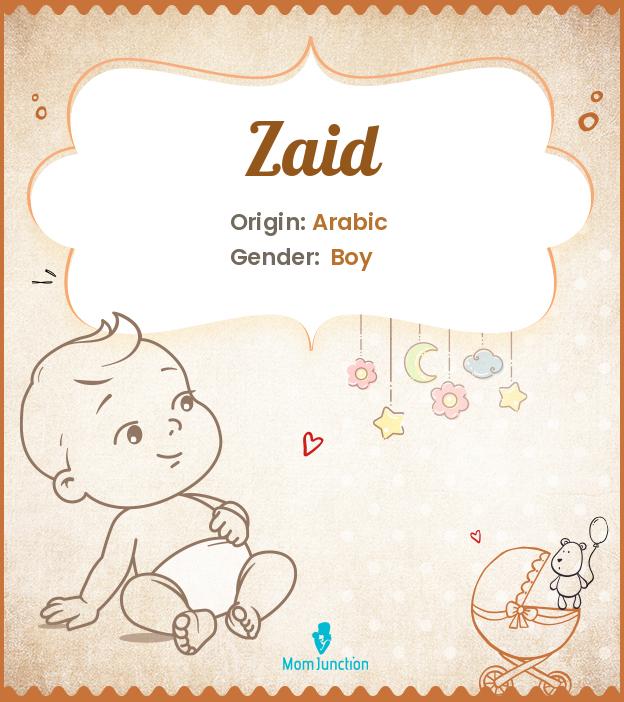 Zaid Name Meaning Origin History And Popularity