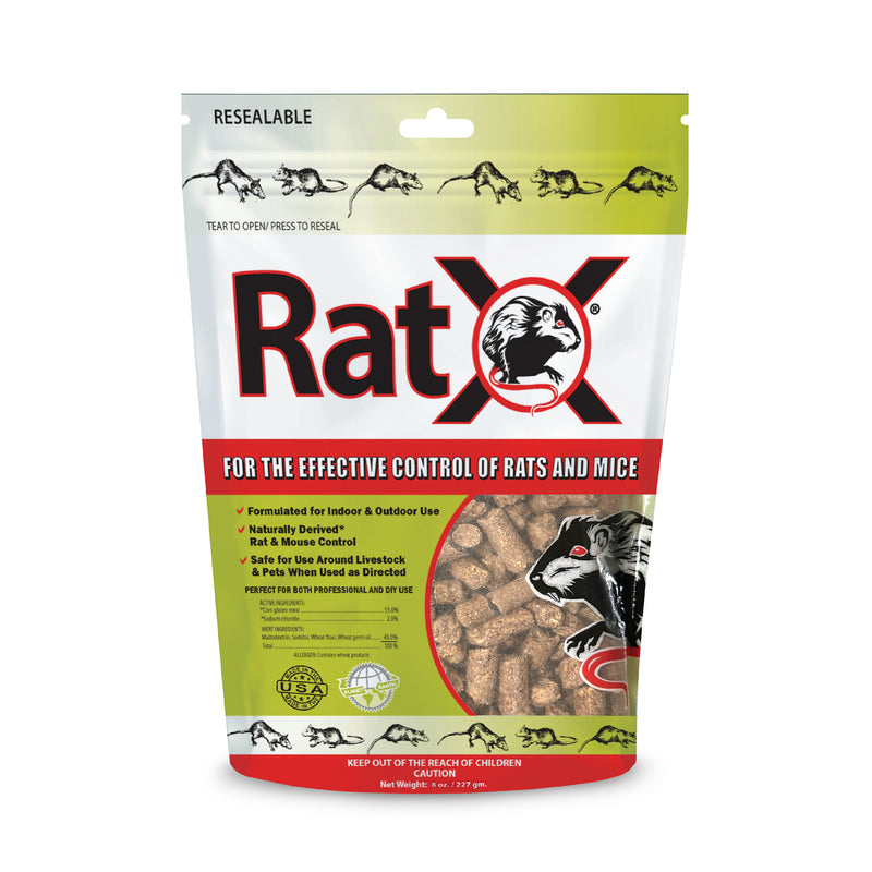 Top 11 Best Rat Traps for Homeowners - Budget Brothers Termite & Pest  Control