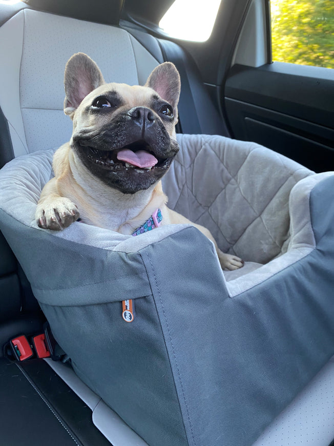 https://www.momjunction.com/wp-content/uploads/product-images/kh-pet-products-bucket-booster-dog-car-seat-cover_afl900.jpg