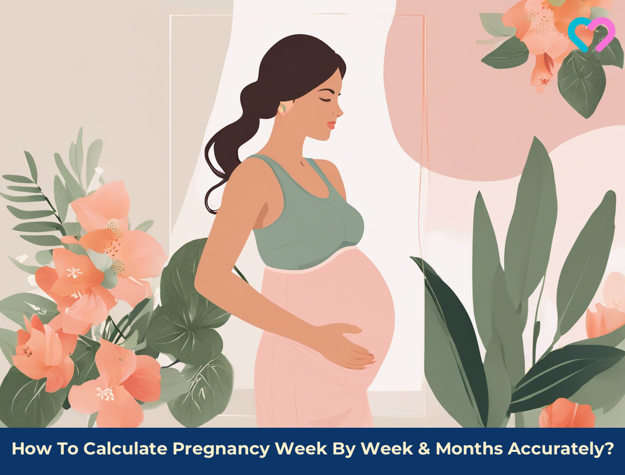 Pregnancy in Weeks, Months, and Trimesters