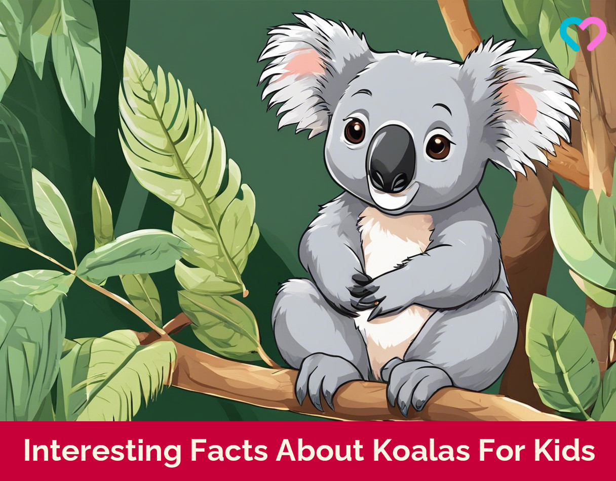 10 Interesting facts about koalas
